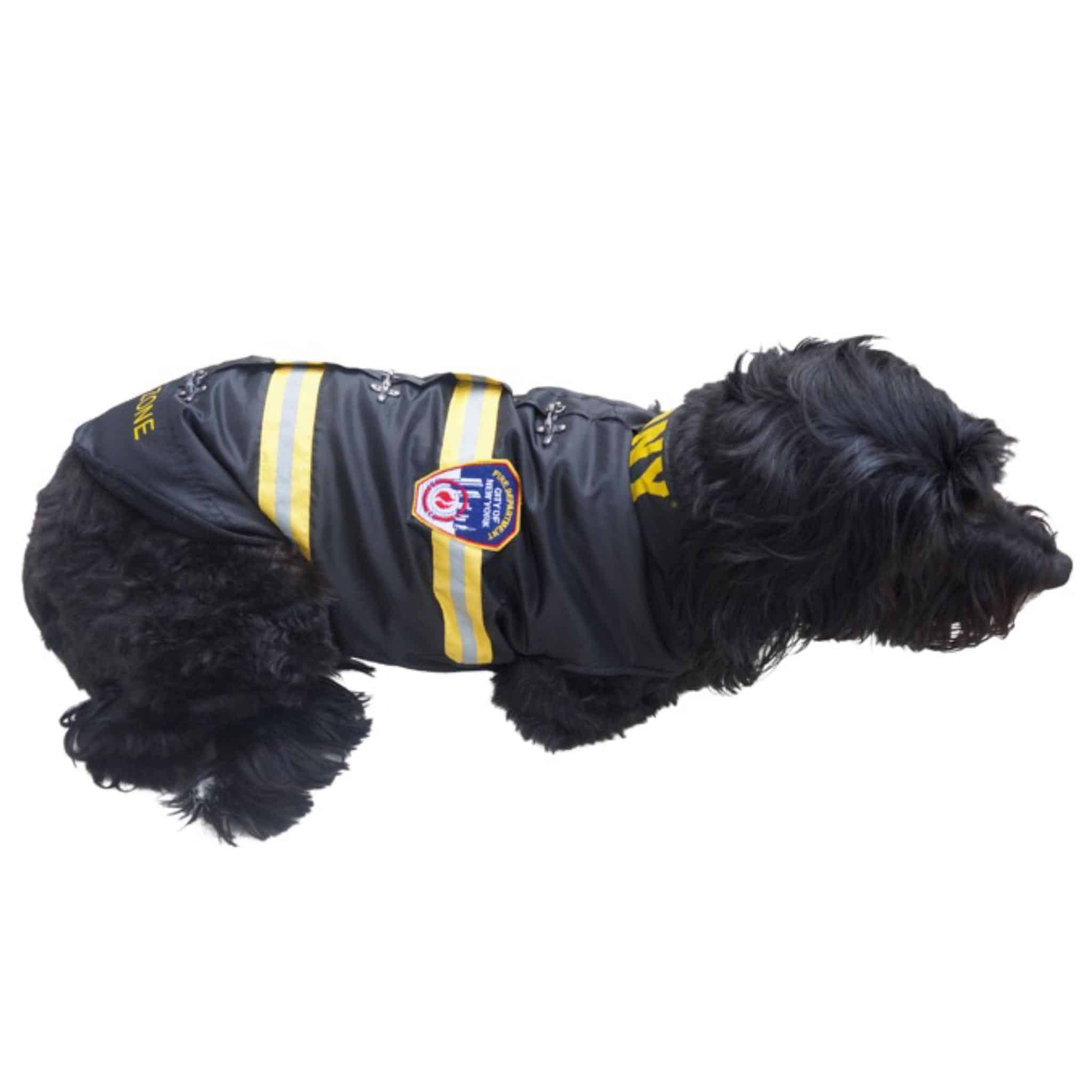 NHL Boston Bruins Pet Apparel Jersey Dog Outfit XS (BRAND NEW)
